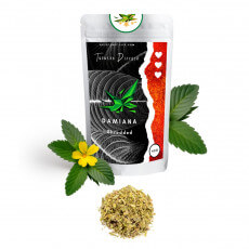 Damiana (Turnera diffusa) - Drcená Bylina
